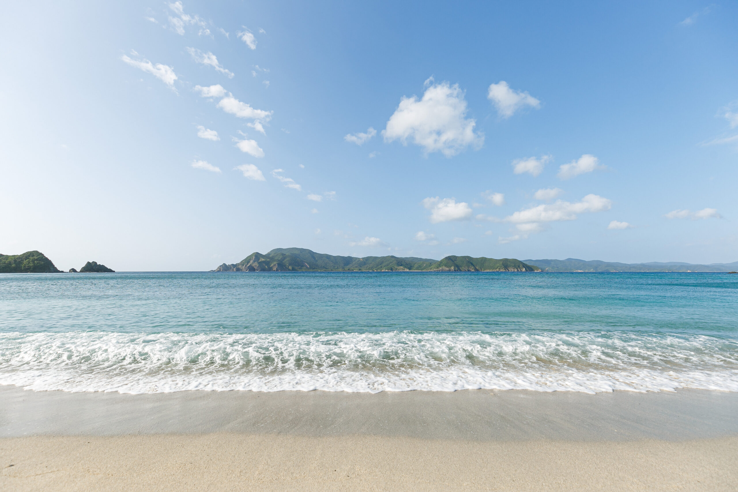 奄美大島でのウェディング、ベストシーズンは?